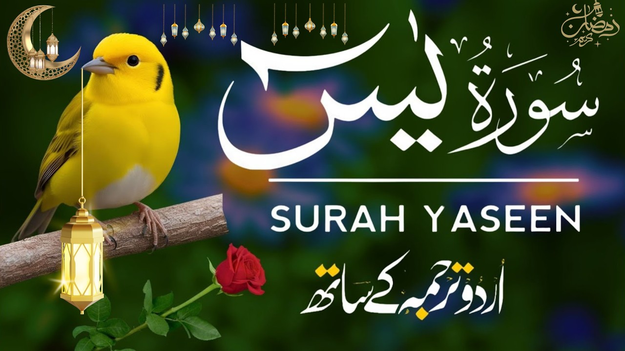 Surah Yaseen | Surah Yaseen With Urdu Translation | Al Furqan Studio | Ep105