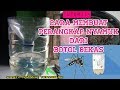 Cara Membuat Perangkap Nyamuk Dari Botol Bekas