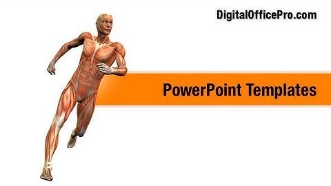 Human Muscle Anatomy PowerPoint Template Backgrounds - DigitalOfficePro #02911W