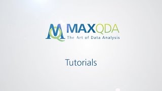 [2017] MAXQDA 12: Stats (for MAXQDA Analytics Pro)