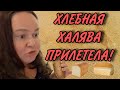 ХЛЕБНАЯ ХАЛЯВА ДЛЯ УСПЕШНОЙ. ИННА СУДАКОВА. ОБЗОР.