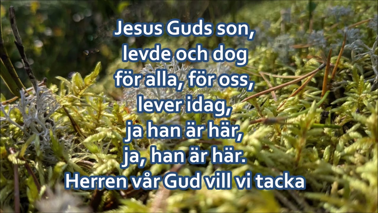 Psalm 21 - Måne och sol - 