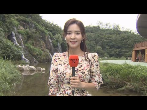 [날씨] 폭염특보 확대·강화…중부 요란한 소나기 / 연합뉴스TV (YonhapnewsTV)
