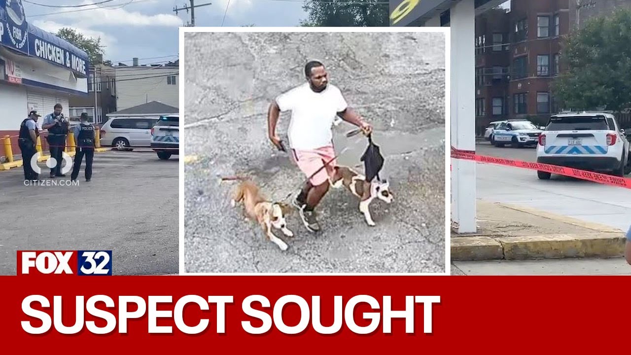 Chicago police seek help identifying suspect in deadly West Side ...