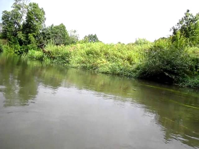 Мутная вода после дождя