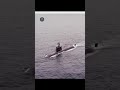 This Is Why North Korea Uses Green Submarine || #shorts #trending #aarufacts