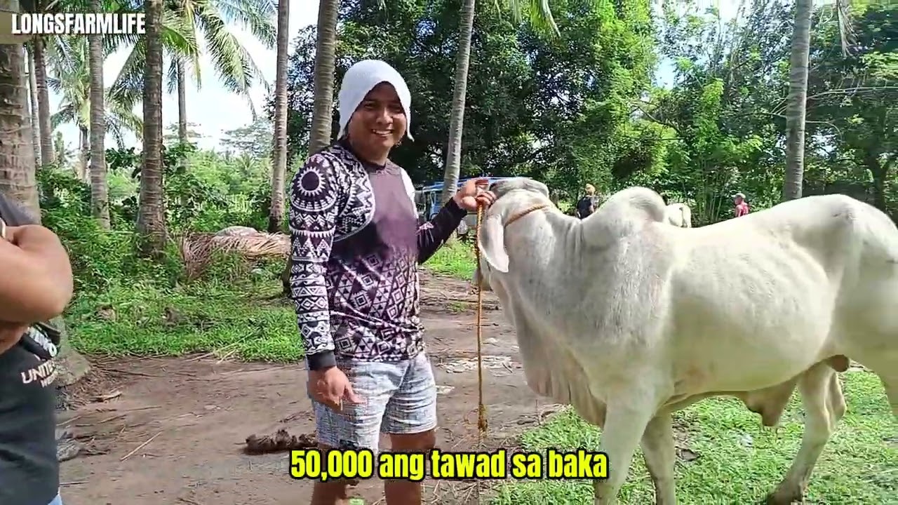 Paradahan sa sariaya quezon..Tatak Boss JR comia..