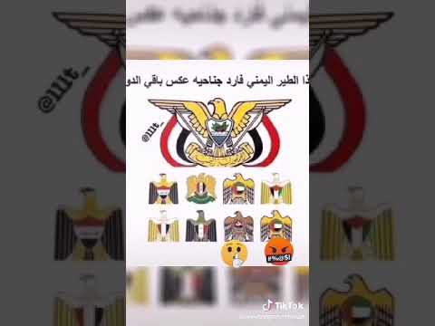 الطير اليمني فارد جناحه عكس باقي الدول