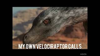 Velociraptor Sound Effects