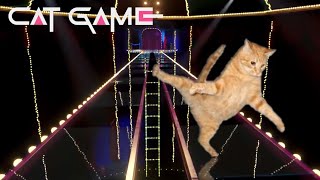 SQUID GAME BUT WITH A CAT - Glass Bridge in Real Life by The Crazy Cats 1,715 views 2 years ago 1 minute, 18 seconds