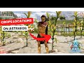 FARM LOCATION on ASTRAEOS!!! Where the best Location to get all 4 crops on ASA