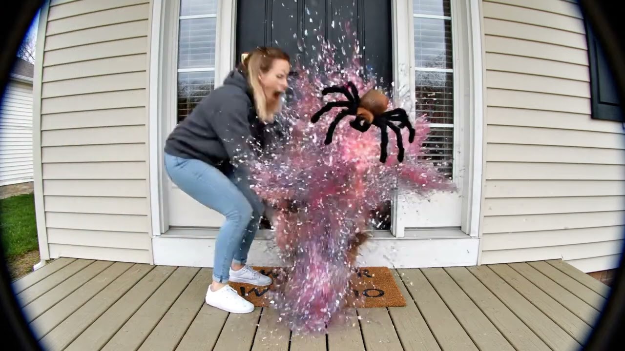 Firefly A realistic POV shot from a Ring doorbell camera at a suburban house during daytime  A suspi