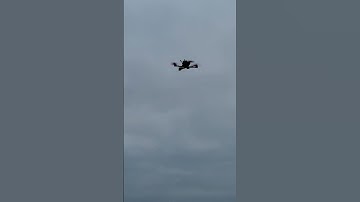 TBS Source One 7” + BetaFlight 4.4 GPS Rescue / Landing.