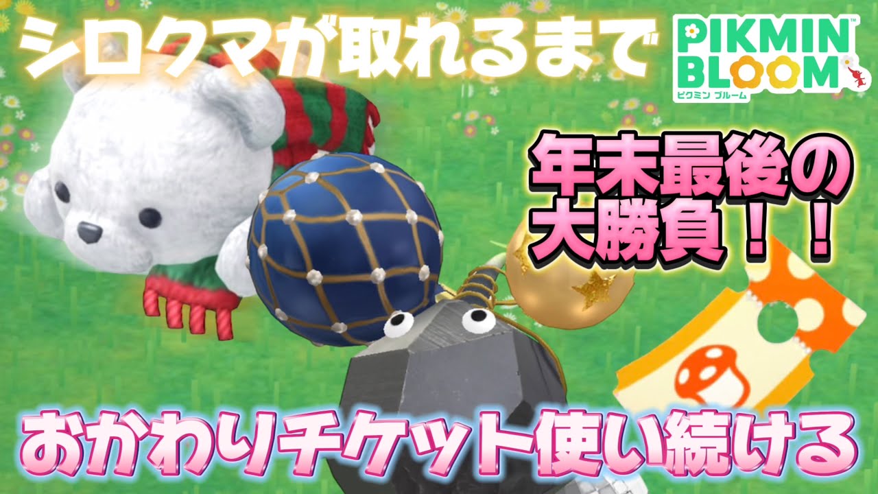 巨大なキノコの報酬に上方修正が！シロクマがどうしてもゲットしたいから、おかわりチケット使いまくって無理矢理取りにいきます【#ピクミンブルーム / #PikminBloom 】
