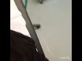 كما ضريت في صحتي 