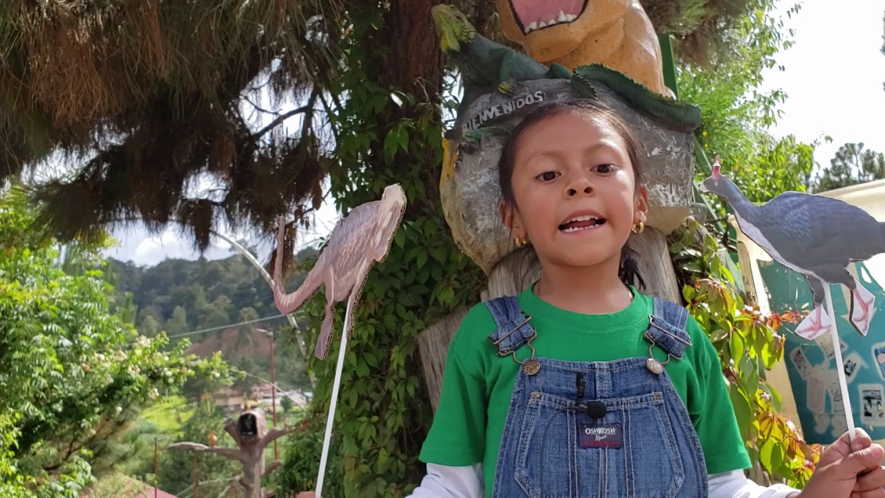 ANIMALES EN PELIGRO DE EXTINCION GUATEMALA