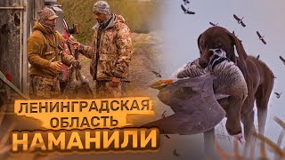 Наманили. Охота в Ленинградской области