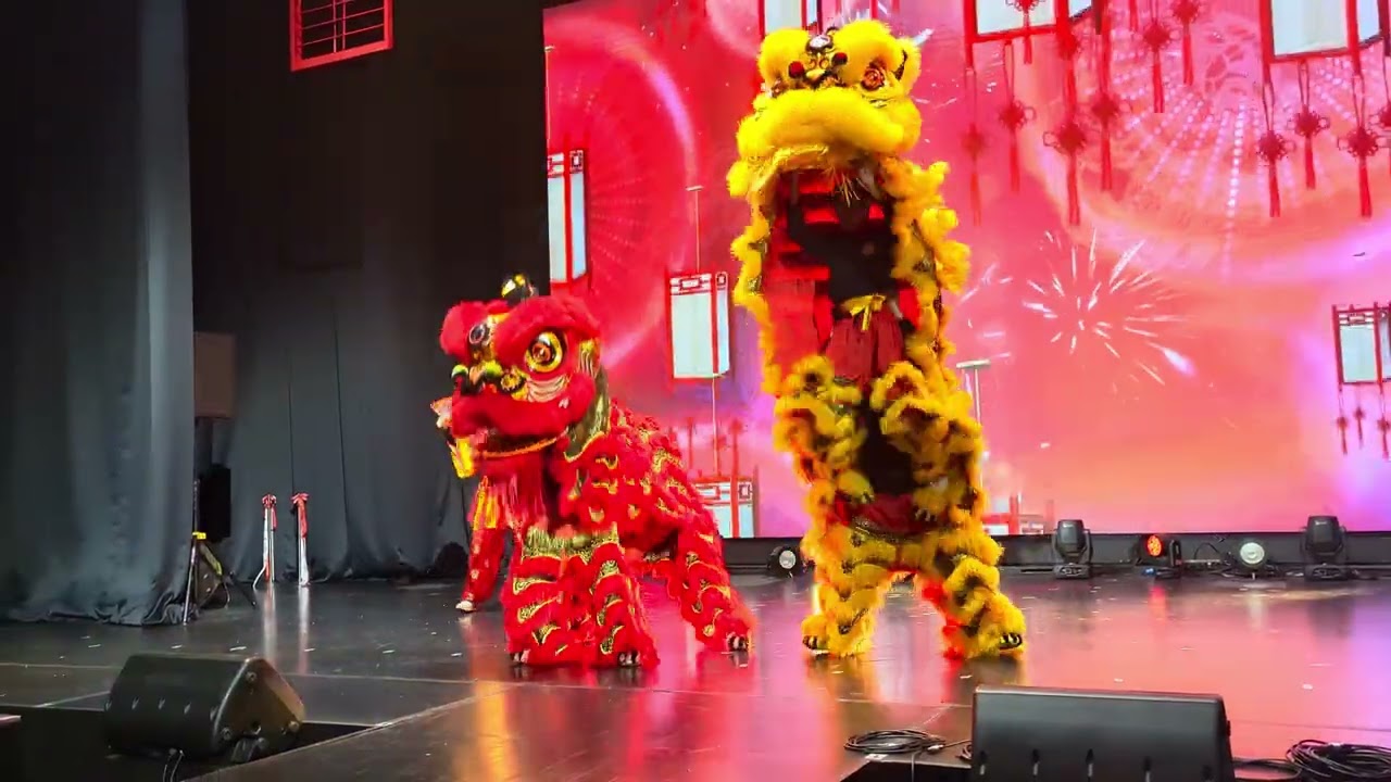 大阪春節祭2026 ベトナム獅子舞No2 大阪ベトナム友好協会