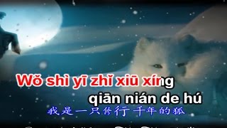 Hồ Ly Trắng (白狐) [Karaoke] – Trần Thụy (陈瑞)