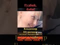 Шурочкин Владимир Гудбай беби