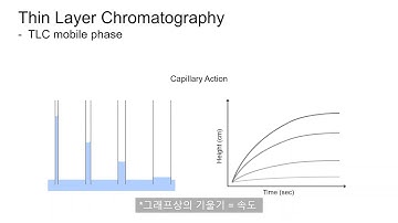 [분석화학] Thin Layer Chromatography 1 - TLC의 활용 및 기본 원리