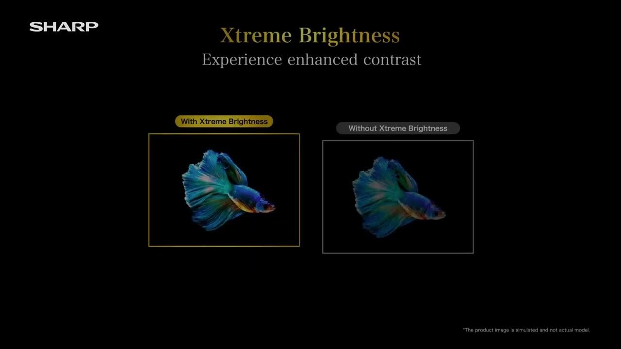 SHARP AQUOS XLED Brightness Demo Video 4K HDR YouTube