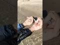 Boys | BL video | Asian Men | #body #boy #boyfriend #gay #bl #tiktok #trending #asian #shorts #fyp