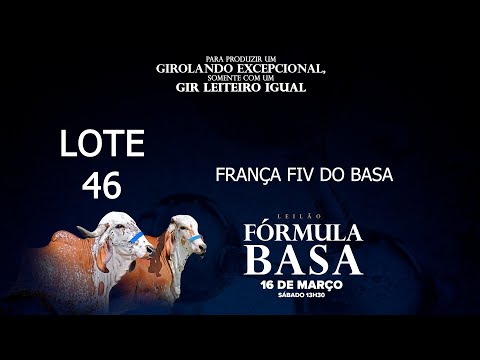 LOTE 46   BASA 2509