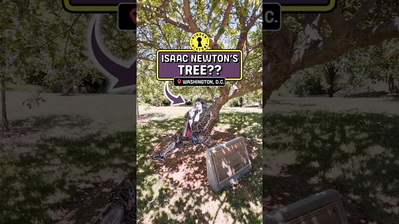 Isaac Newton's apple tree is in Washington DC?? - YouTube