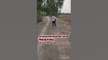 chủ cần bán 8 mẫu đất giá 120tr 1 công đất thuộc huyện Mộc Hóa tỉnh Long LH0816556639 #mientay