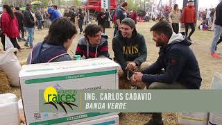 Ing  Carlos Cadavid   Banda Verde