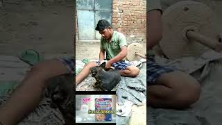 Download Lagu mamy poko Mr #Dharmendra# video comedy #🤣🤣🤣🤣🤣😂😂🙄🙄🙏🙏🙏🙏🙏🤭🔥♥️😡 MP3