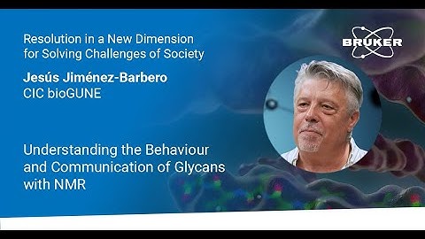 Understanding the Behaviour & Communication of Glycans with NMR