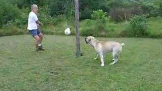 Baya Playing Spyroball Iii