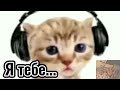Котёнок в наушниках | Добрые мемы