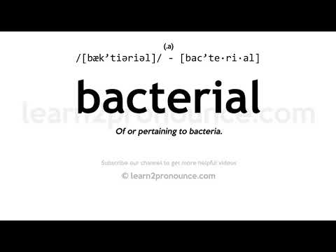 Video: Pneumoonia (bakteriaalne) Koertel