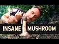 This Mushroom Smells Amazingly Like it Looks: The Stinkhorn Mushrooms