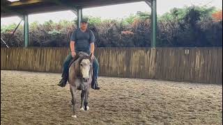 Advert reference - 315255