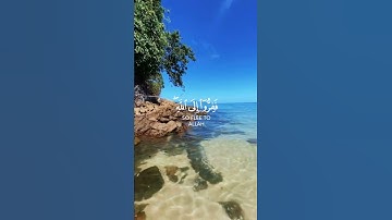 ارح سمعك💙🌿 حالات واتس اب قران كريم