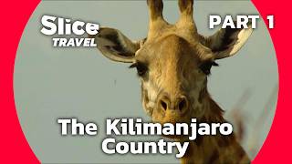 Tanzania: A Journey Into the Wild Paradise of the Great African Savanna | SLICE TRAVEL | PART 1