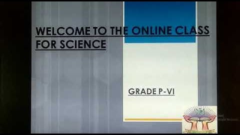 PVI SCIENCE LESSON # 65 (PART 2) CHP # 8 ACTIVITY-4 DATED: 13/8/2020
