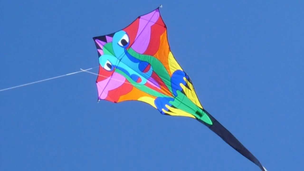 HQ Kites Eddy Dragon 27 Diamond Kite