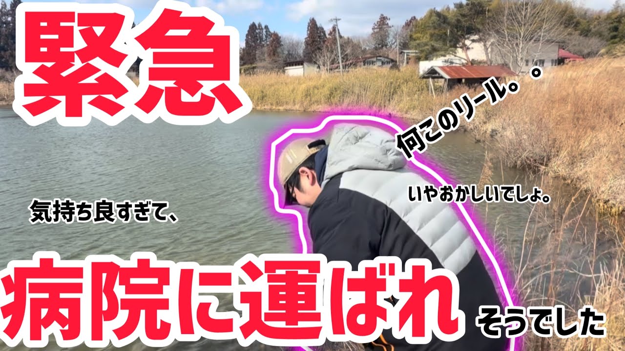 うちの相方がアンタレスを投げてアレルギー反応起こしました。