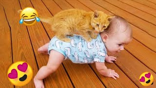 Videos Graciosos de Gatos y Bebés 😂 Bebés y Gatitos Creciendo Juntos #6