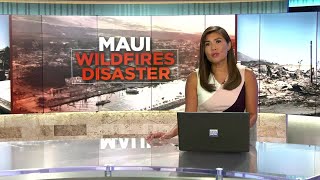 Maui releases list of hundreds reported missing after Lahaina fire