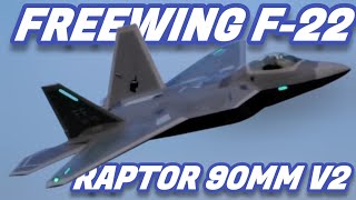 Freewing F-22 Raptor Maiden Low Light Flight