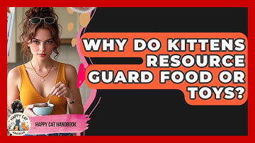 Why Do Kittens Resource Guard Food Or Toys? - Happy Cat Handbook