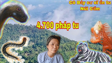 Cô 7 cư sĩ ẩn tu núi Cấm nói về pháp tu 4.700 pháp tu