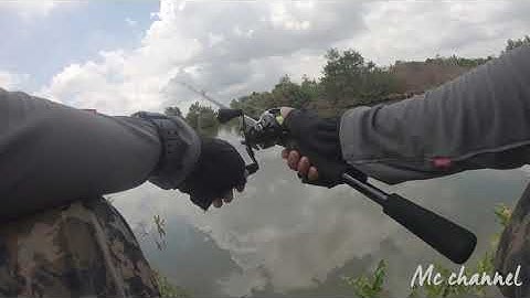 Câu cá Lý Nhơn Cần Giờ - Đầm 6 Phúc | Đầm tự nhiên Lý Nhơn - Cần giờ