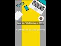 What are Data Bindings in WPF? | WPF Interview Question Explained